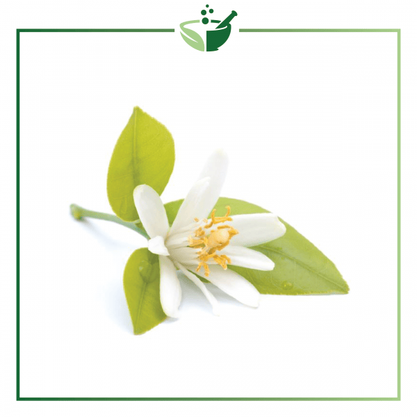 Neroli Essential Oil-01
